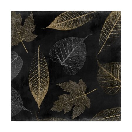 Trademark Fine Art Color Bakery 'Autumn Gold Black Background' Canvas Art, 14x14 ALI25802-C1414GG